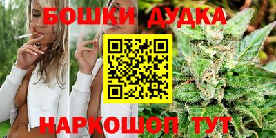 спиды Будённовск