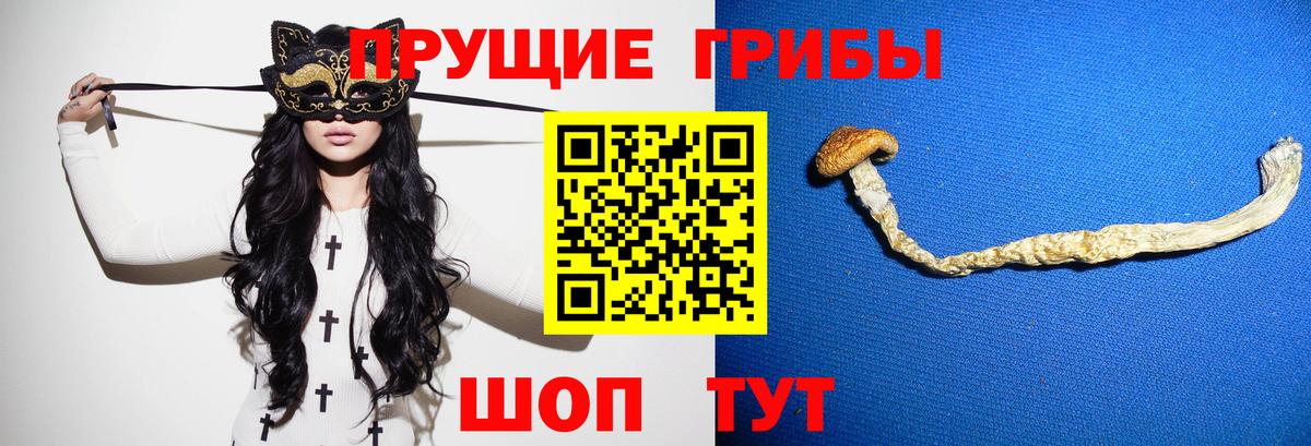 Псилоцибиновые грибы Psilocybe  Галлюциногенные грибы Psilocybine cubensis  Сатка  Вход с VPN 